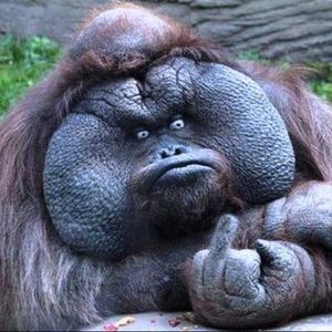 Meet your Posher, Stephen